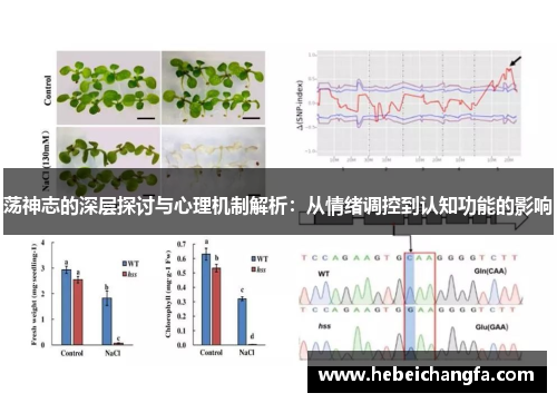荡神志的深层探讨与心理机制解析:从情绪调控到认知功能的影响 荡神志的深层探讨与心理机制解析:从情绪调控到认知功能的影响